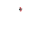 Glückspelz für Glückspilze
