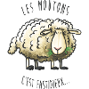 Les moutons c'est fastidieux