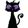 Chat psychédélique