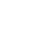 Zwergspitz "Black Edition"