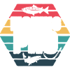 Fishing Pro