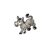 Donkey