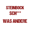 Sternzeichen Steinbock