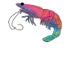 Shrimp