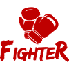 Fighter