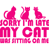 Chat Katze