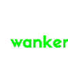 EBike Wanker TShirt