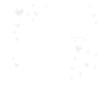 Pferd, Pferde, Reiterin, Reiten, Pferdenärrin