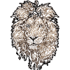 Lion, Lion