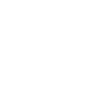white butterfly