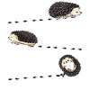African White-bellied Hedgehog Costume Footprint