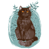 Sort grå kat planter Yellowfang Yellowtooth
