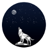 Heulender Wolf unter Sternenhimmel