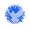 Peace Dove of Peace