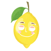 Smiling Lemon Funny Lemon Fruits
