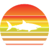Shark at sunset