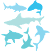 Sharks
