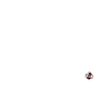 Moth_S