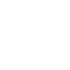 1982 Limited Edition