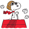 Peanuts Snoopy Pilot