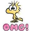 Peanuts Woodstock OMG