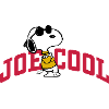 Jordnötter Snobb Joe Cool Solglasögon
