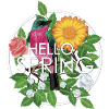 Hello Spring