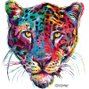 PD Moreno Leopard