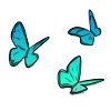 blue butterflies butterfly animals symb