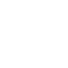 PROFIsorisch
