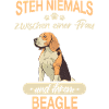Beagle Hund Hundehalter