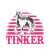 Irish Tinker Pferd Tinkerpferd