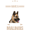 Malinois Dog