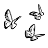 butterfly animals animal symbol