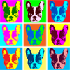 French Pop Art Bulldog