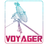 Voyager Space Probe