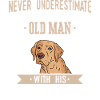 Labrador Dog