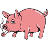Piglet Animal