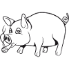 Schwein Ferkel Tier