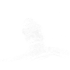 Little Bird