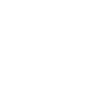 Sonnenblumen