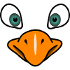 Bird's face