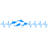 Diving Shark Heartbeat Divers