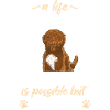 Cockapoo Chien