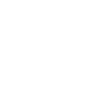 PI - Shirt
