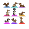 Yoga Dog Dachshund Meditating Pets