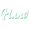 Plantes Électriques Fleurs Jardin Nature