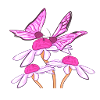 butterfly flowers flower plant spring