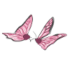 butterfly pink animals fly spring
