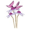 butterfly flowers flower plant spring